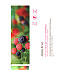 베리 하이드로겔 마스크 25g
